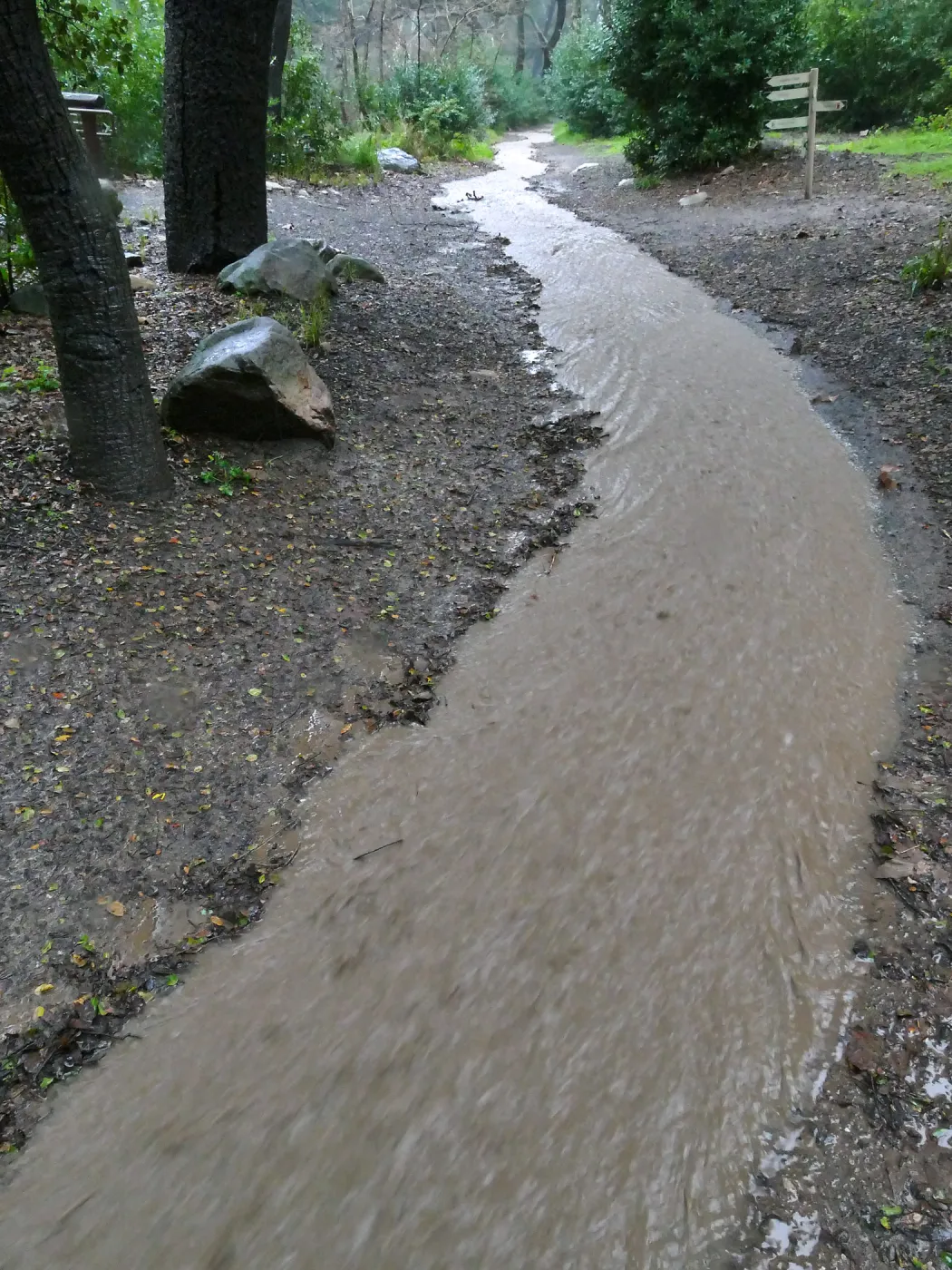 Stormwater flowing down Canyon Trail past Campbell Bridge