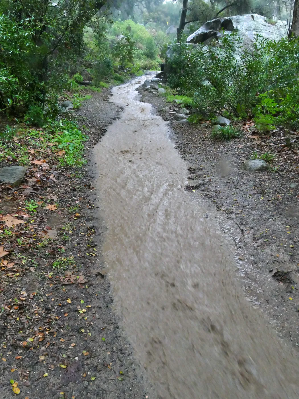 Stormwater flowing past Lassiter Boulder down Canyon Trail