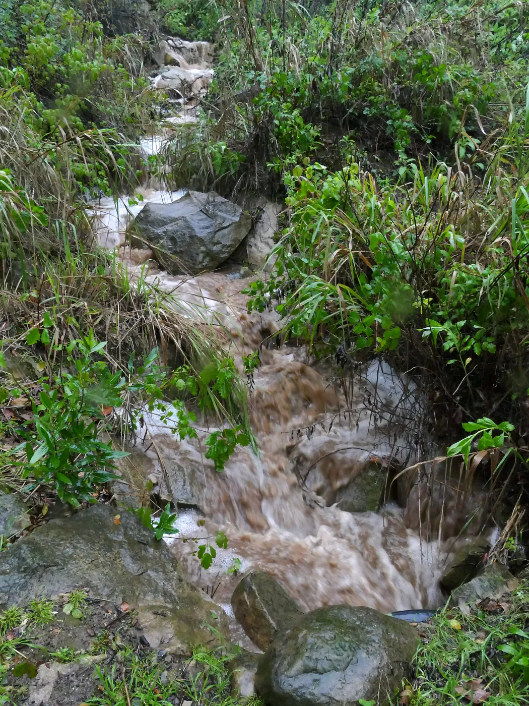 Stormwater flow in Canyon