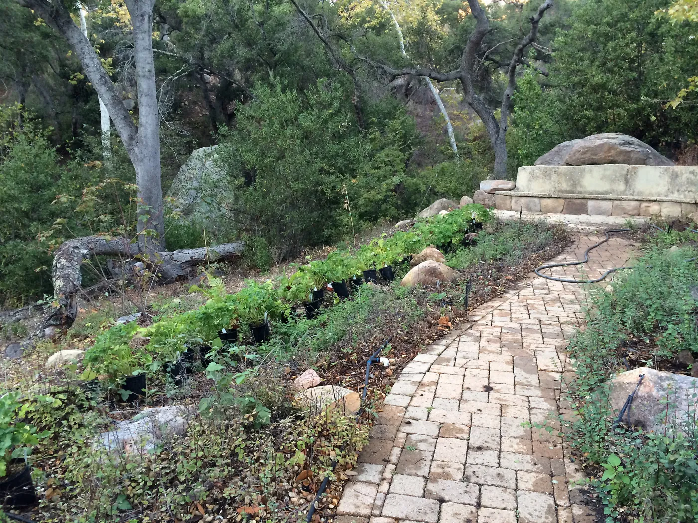 Installation of the Wooded Dell