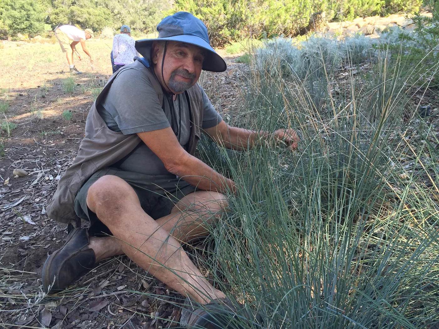 Geege Ostroff grooming Festuca californica