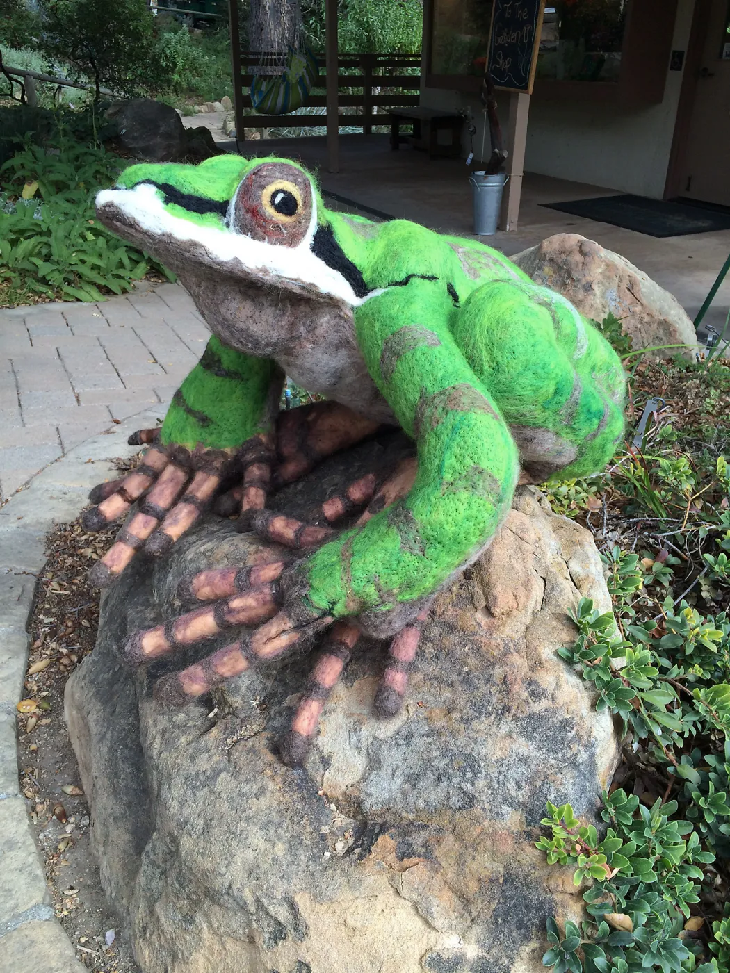 Dormant Dreams Yarn Blast, Fred - the Pacific Chorus Frog at Garden Shop