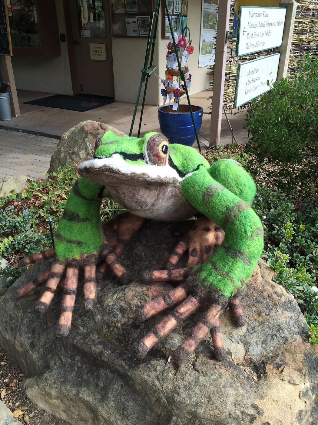 Dormant Dreams Yarn Blast, Fred - the Pacific Chorus Frog at Garden Shop