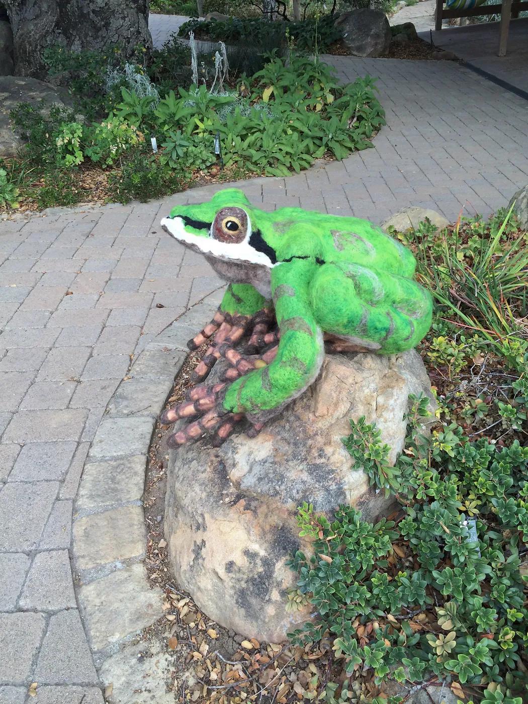 Dormant Dreams Yarn Blast, Fred - the Pacific Chorus Frog at Garden Shop