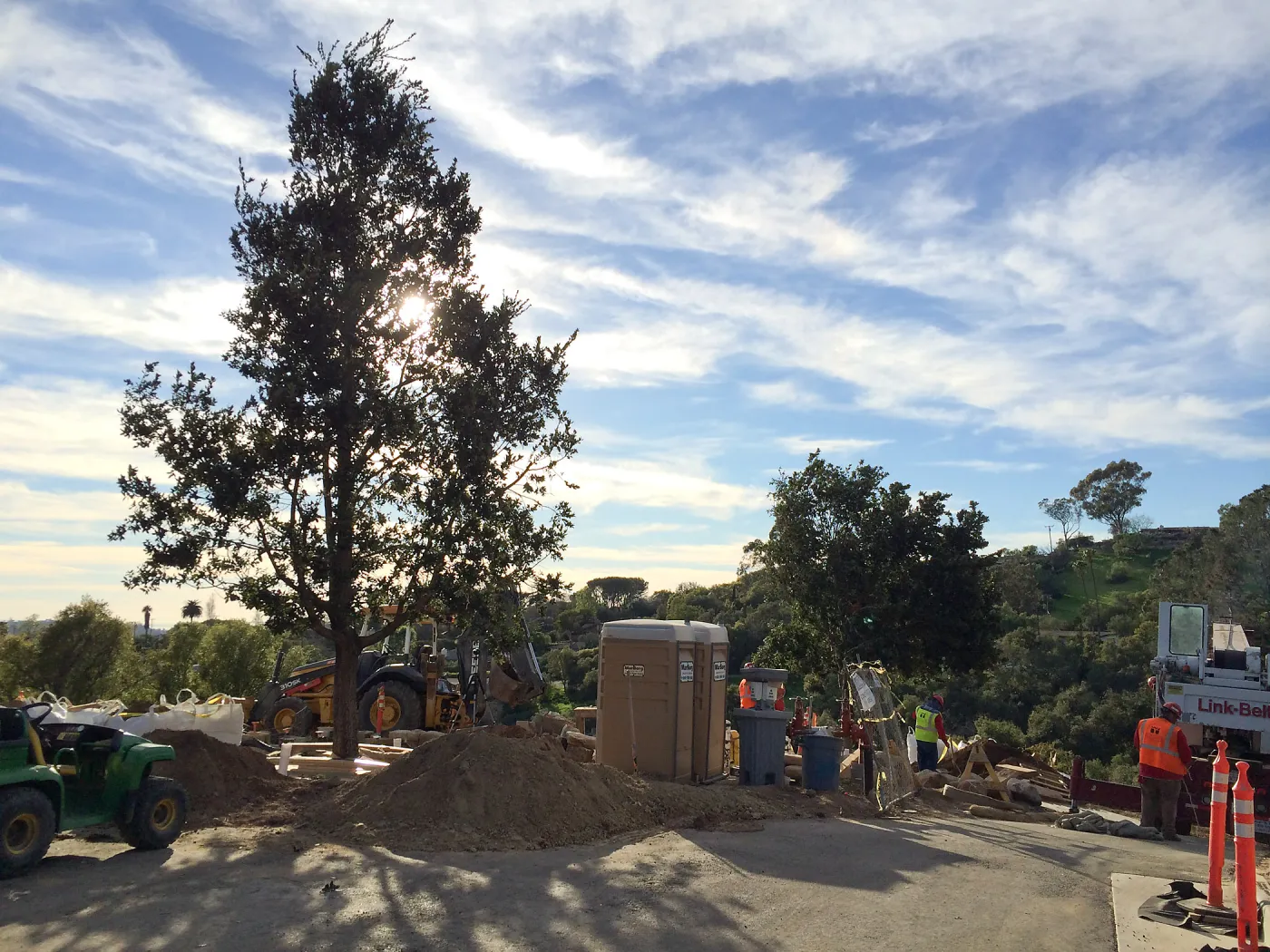 Planting of Island Oaks at the Pritzlaff Conservation Center