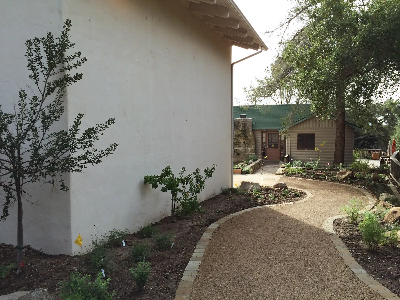 First plantings at Water Wise Home Garden