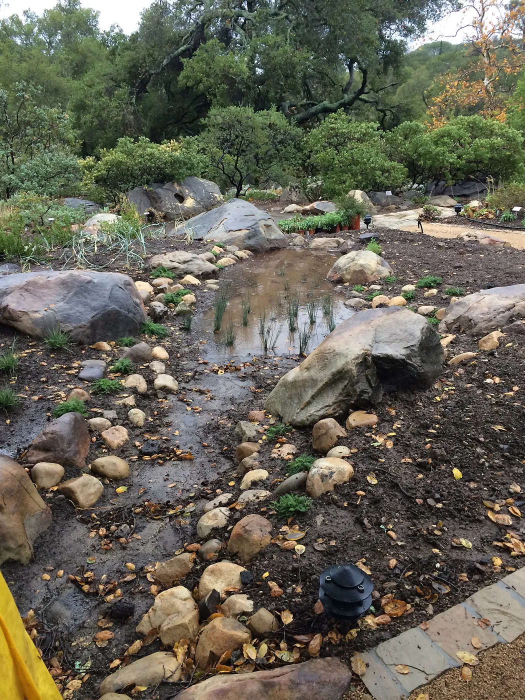 Water Wise Home Demonstration Garden during installation. Bioswale