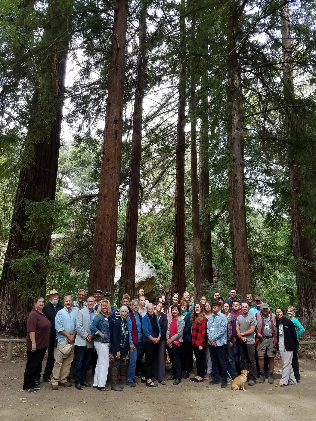 Staff portrait in the Redwood Section (Coast Redwood)