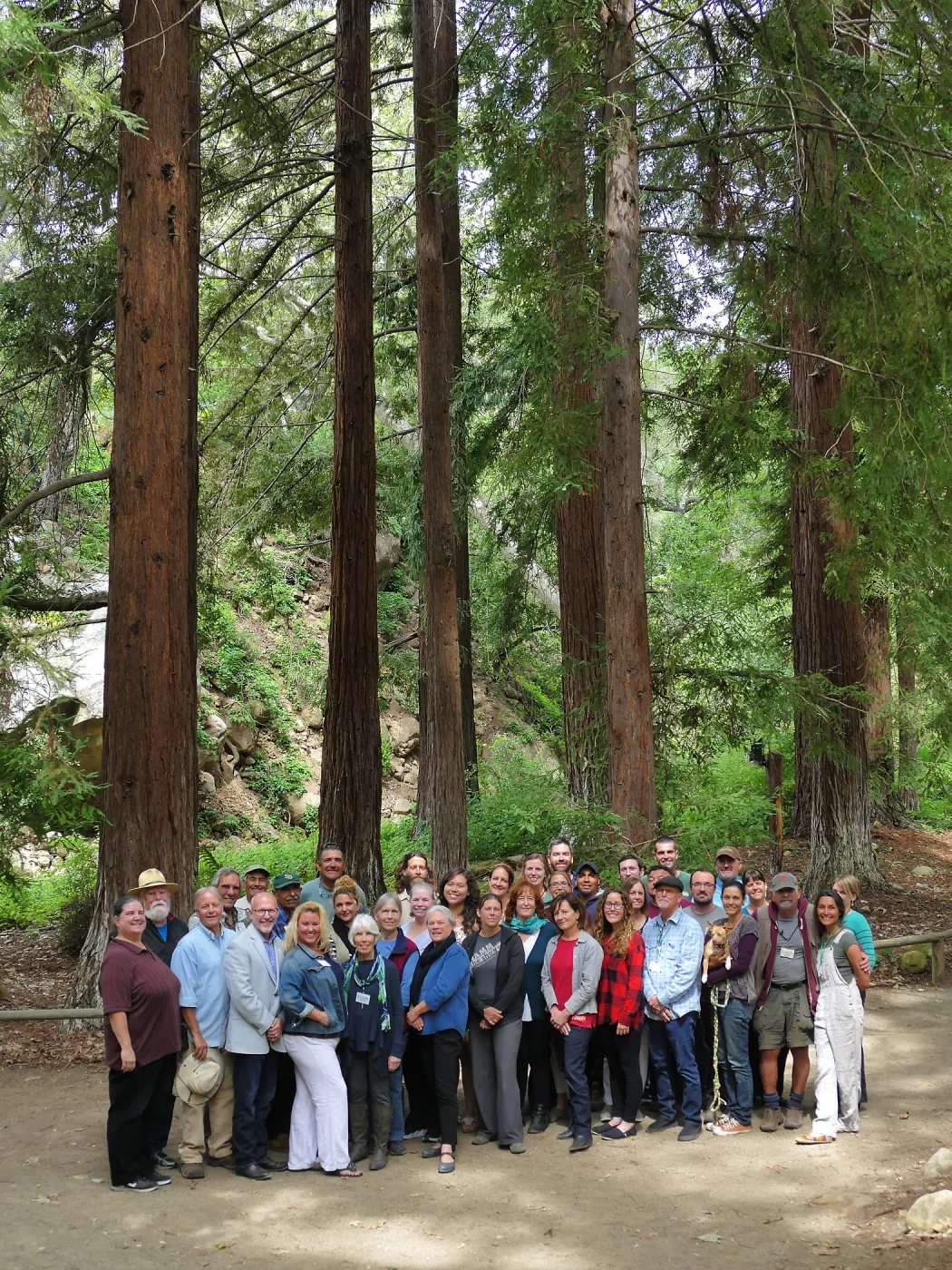 Staff portrait in the Redwood Section (Coast Redwood)