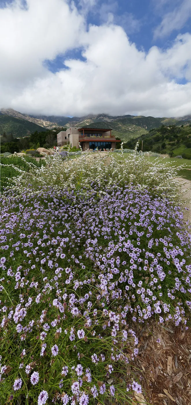 Pritzlaff Conservation Center and Island View Garden