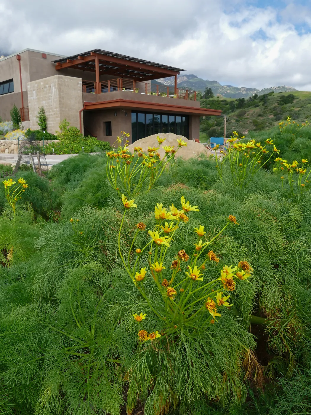 Pritzlaff Conservation Center and Island View Garden