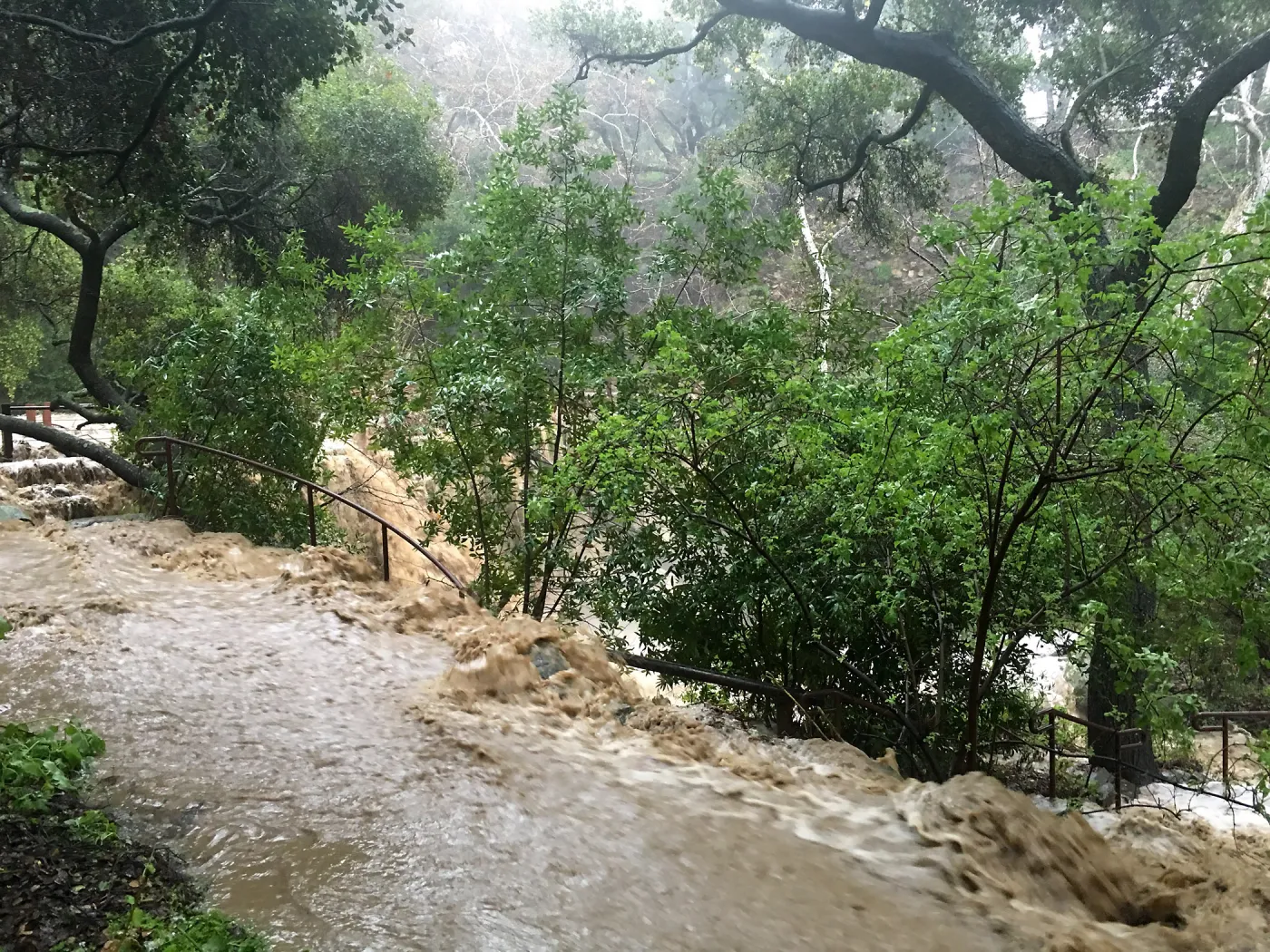Water flowing into Fiber Arts Exhibit during rainstorm