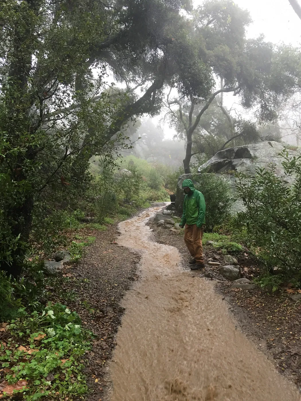 Water flowing down Canyon Trail during rainstorm