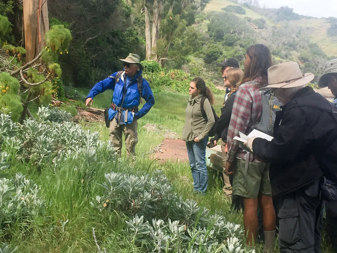 California Botanist Society trip to Santa Cruz Island with Steve Junak