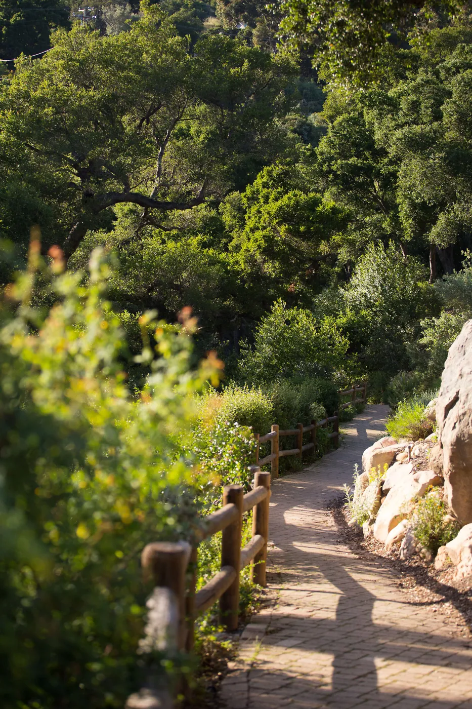 Campbell Trail