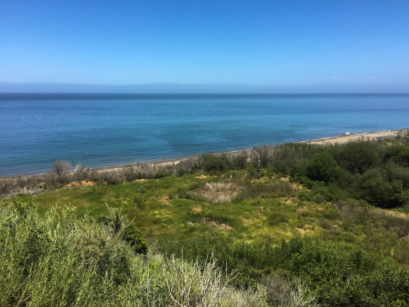 Santa Cruz Island Trip, Restored wetland