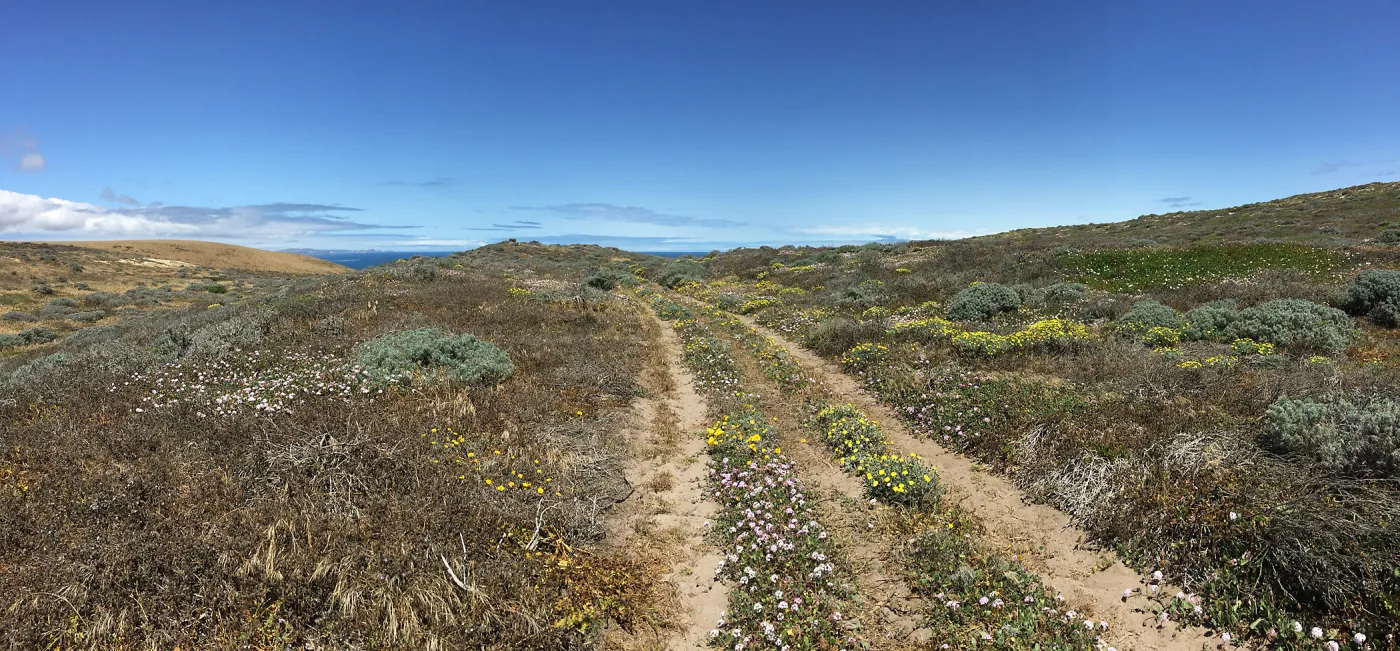 Santa Rosa Island Trip, Looking out towards San Miguel Island, hiking to Carrington Point