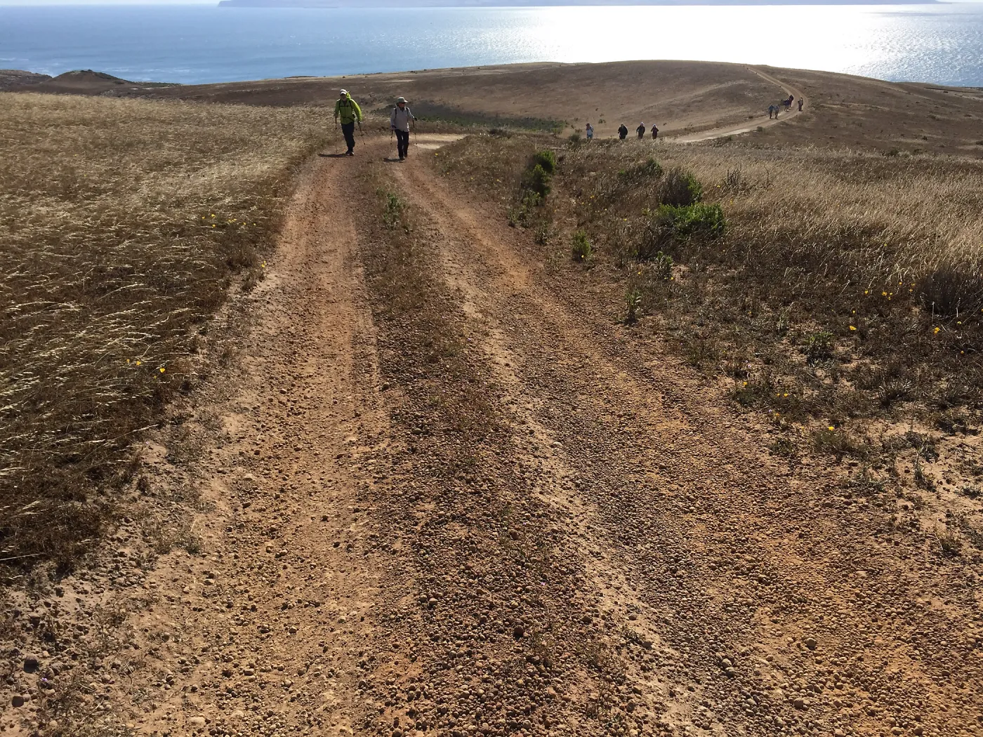 Santa Rosa Island Trip, hiking on Smith Highway to Lobo Canyon