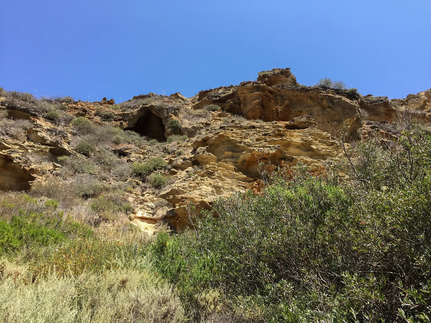 Santa Rosa Island Trip, Lobo Canyon