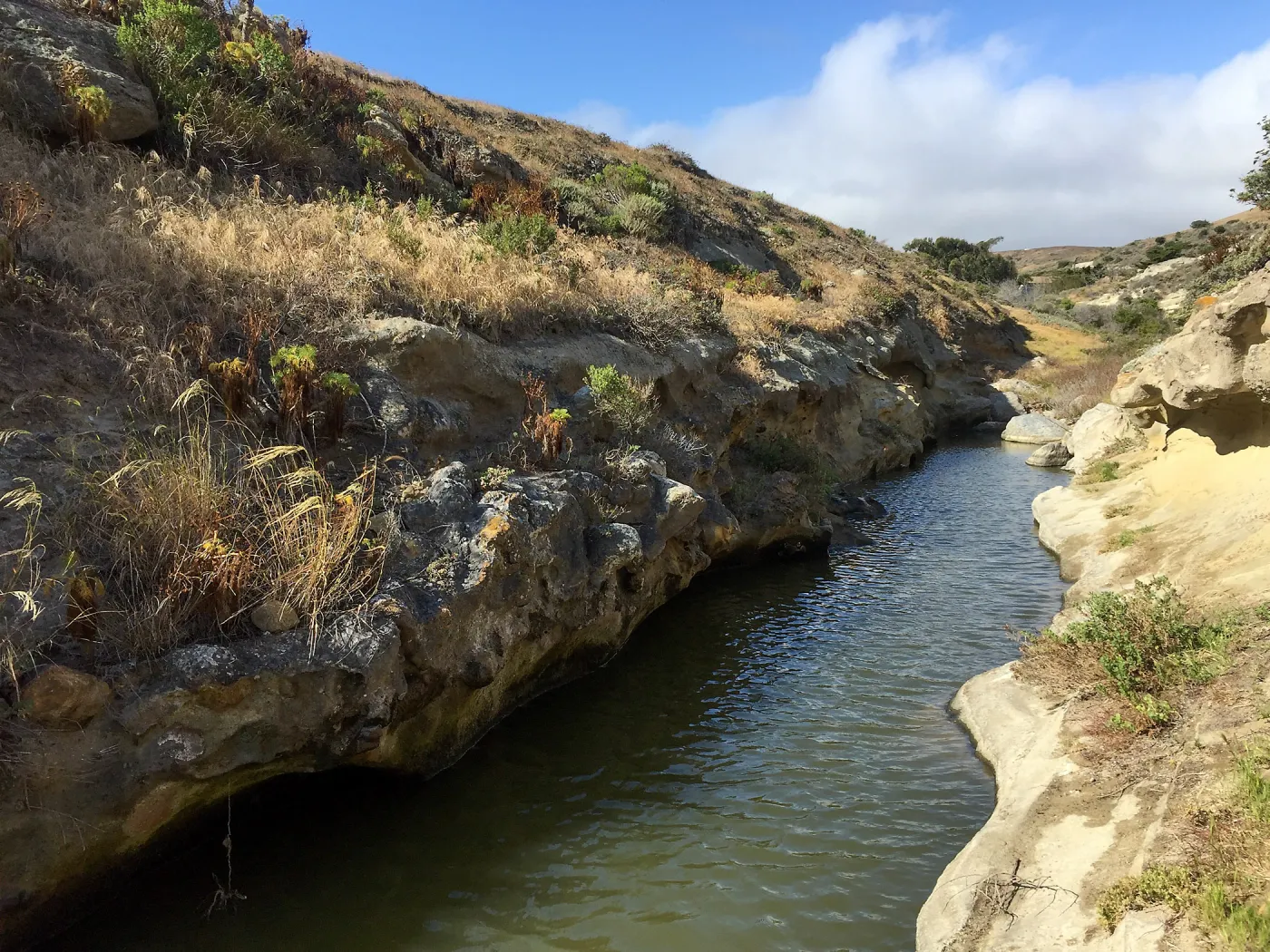 Santa Rosa Island Trip, Slough