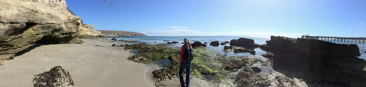 Santa Rosa Island Trip, Nancy Deacon-Davis on beach