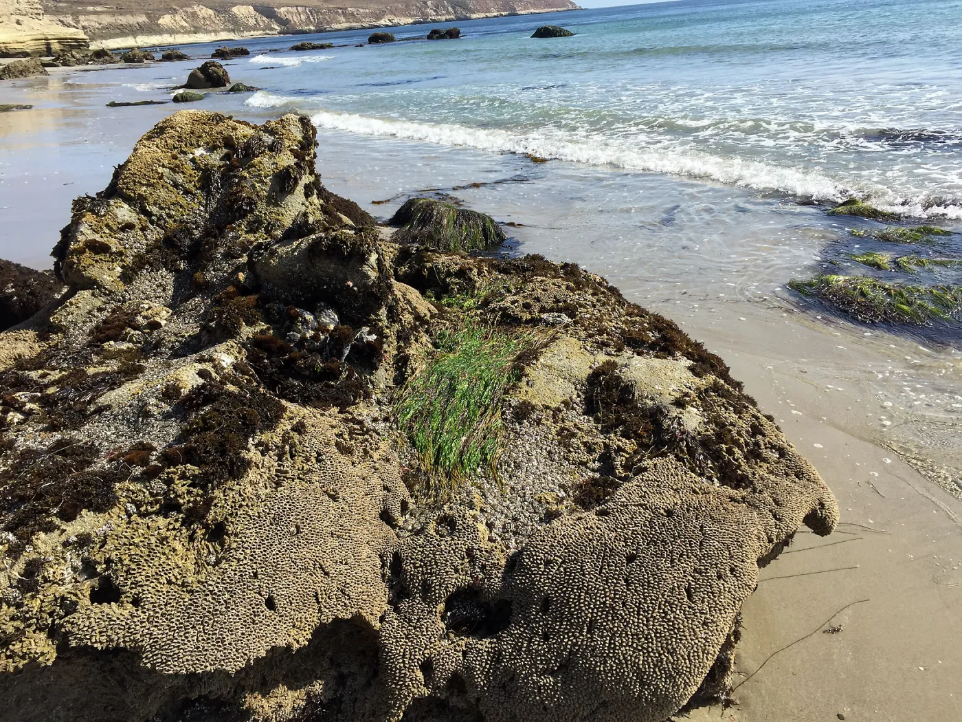 Santa Rosa Island Trip, Rock along beach