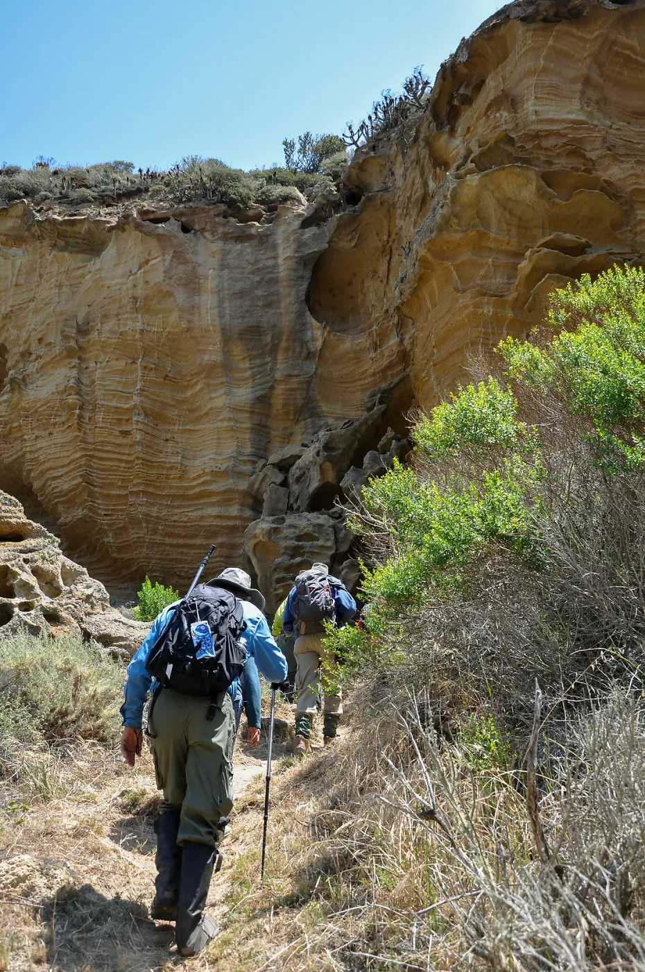 Santa Rosa Island Trip, group hiking in Lobo Canyon