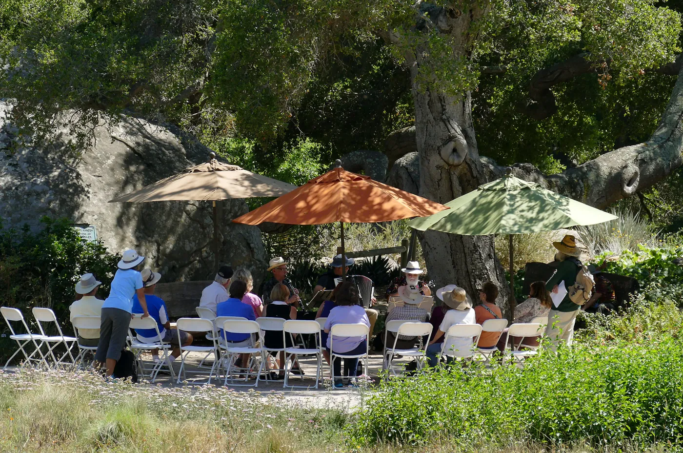 Free Seniors Day with music by Long Gone Daddies