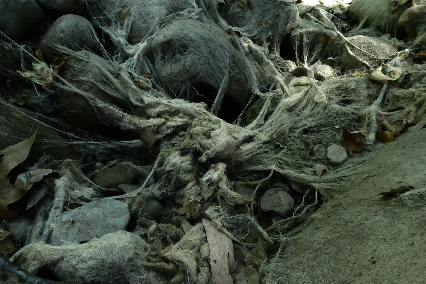 Ghost creek, lower creek crossing