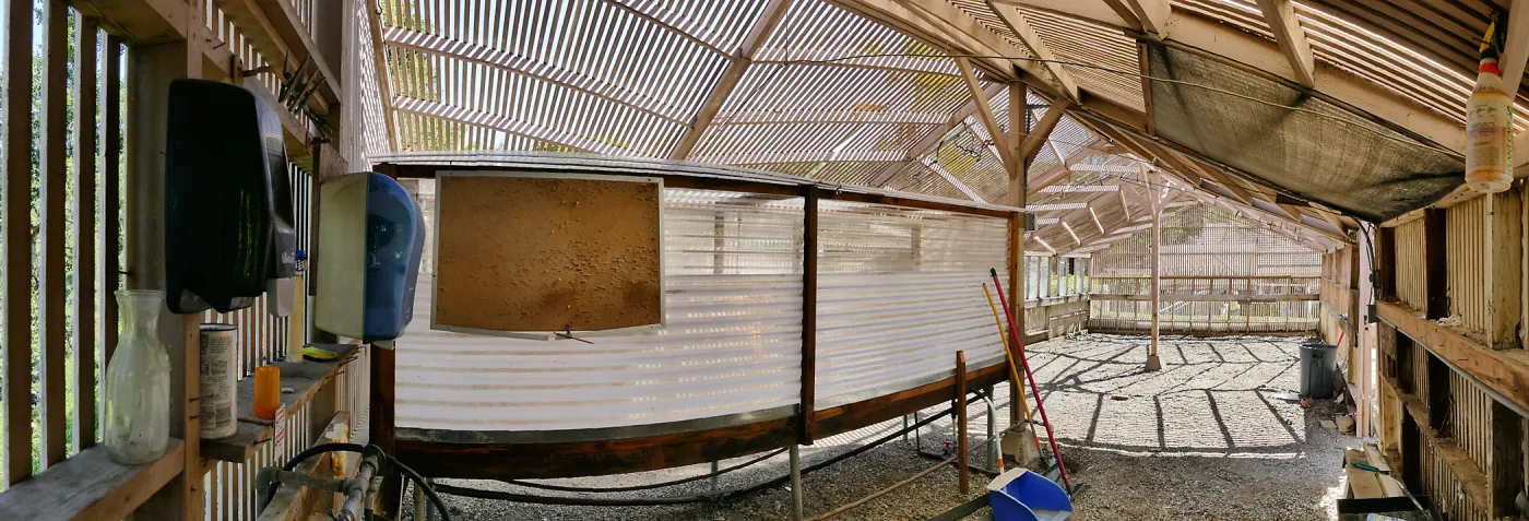 Garden Growers Lath House before start of repairs. Panarama of interior from southwestst corner.