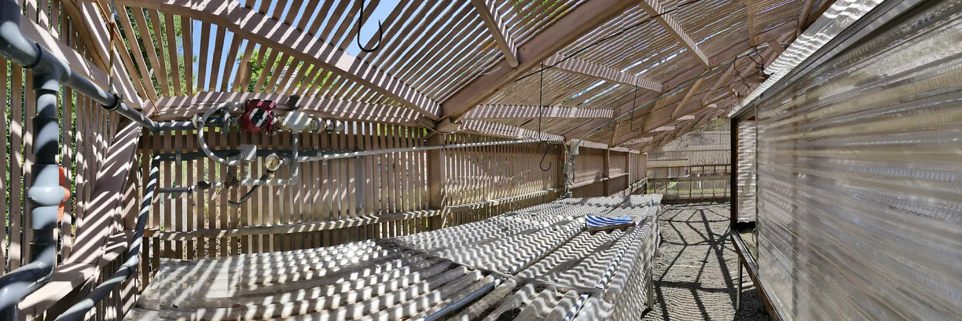 Garden Growers Lath House before start of repairs. Panorama of north wall from west wall.