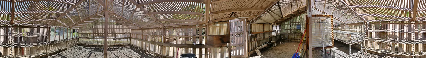 Garden Growers Lath House before start of repairs. Panorama from center of interior.