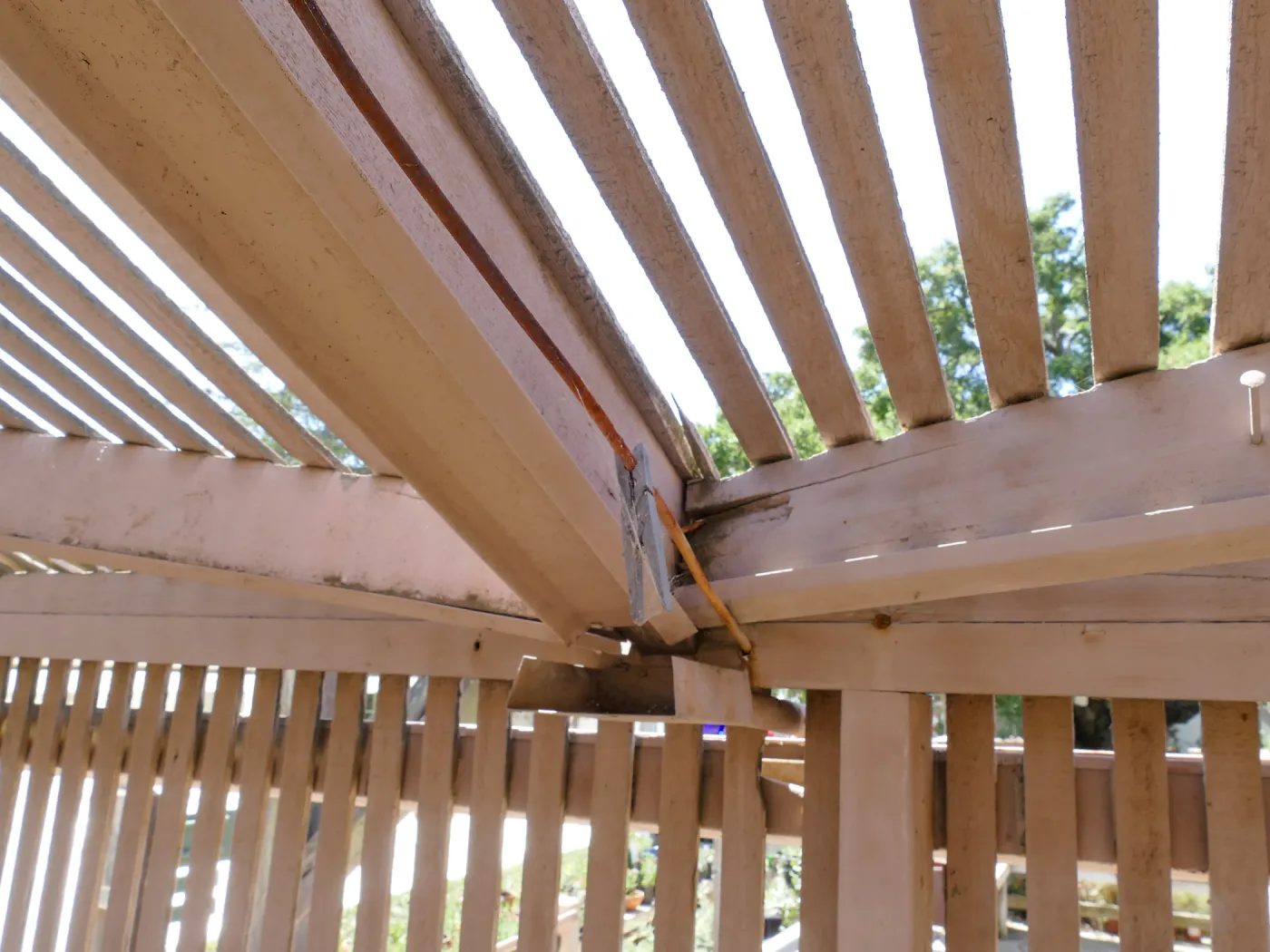 Garden Growers Lath House before start of repairs. Condensation drain system detail.
