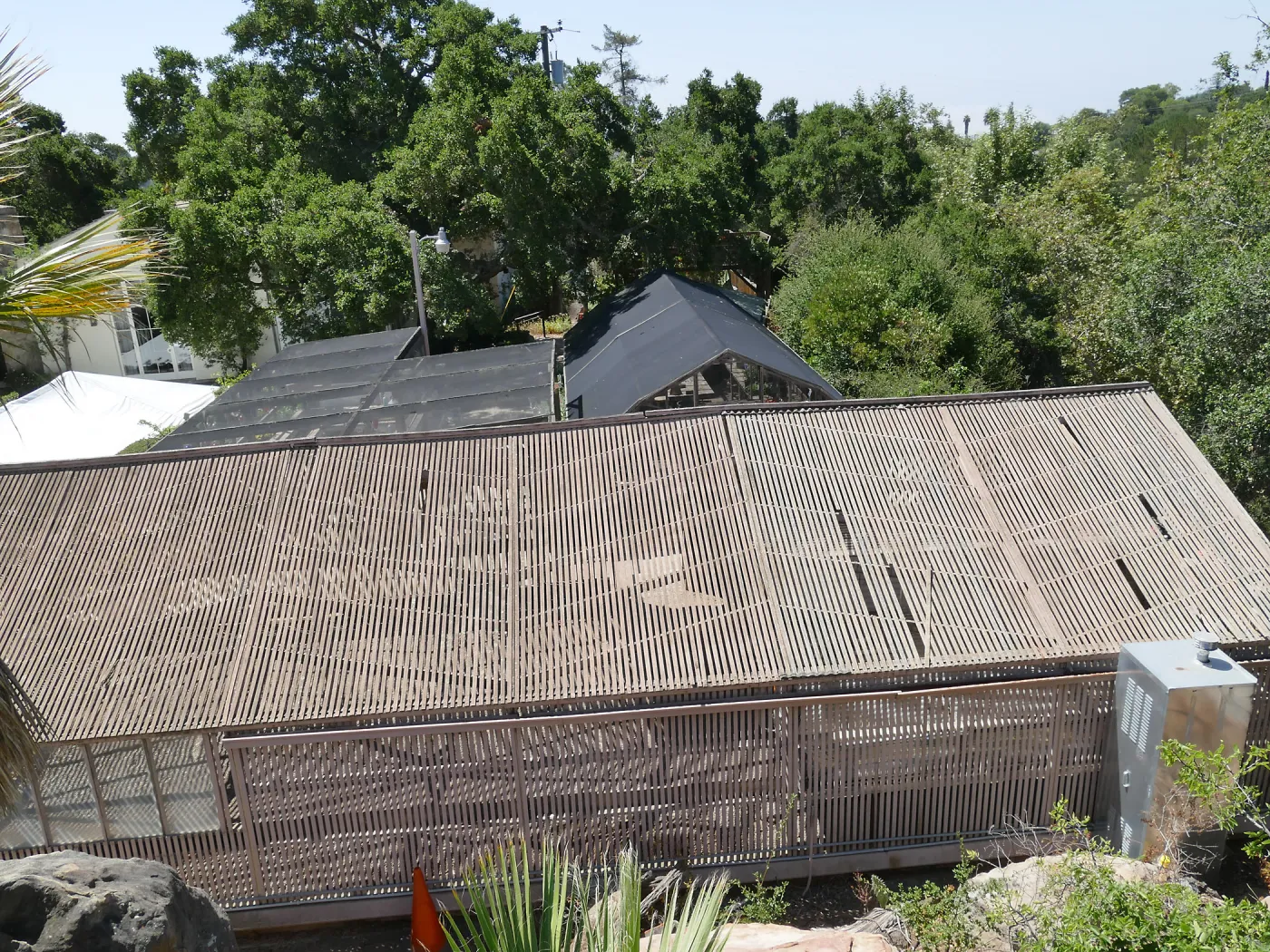 Garden Growers Lath House before start of repairs. North side of roof.
