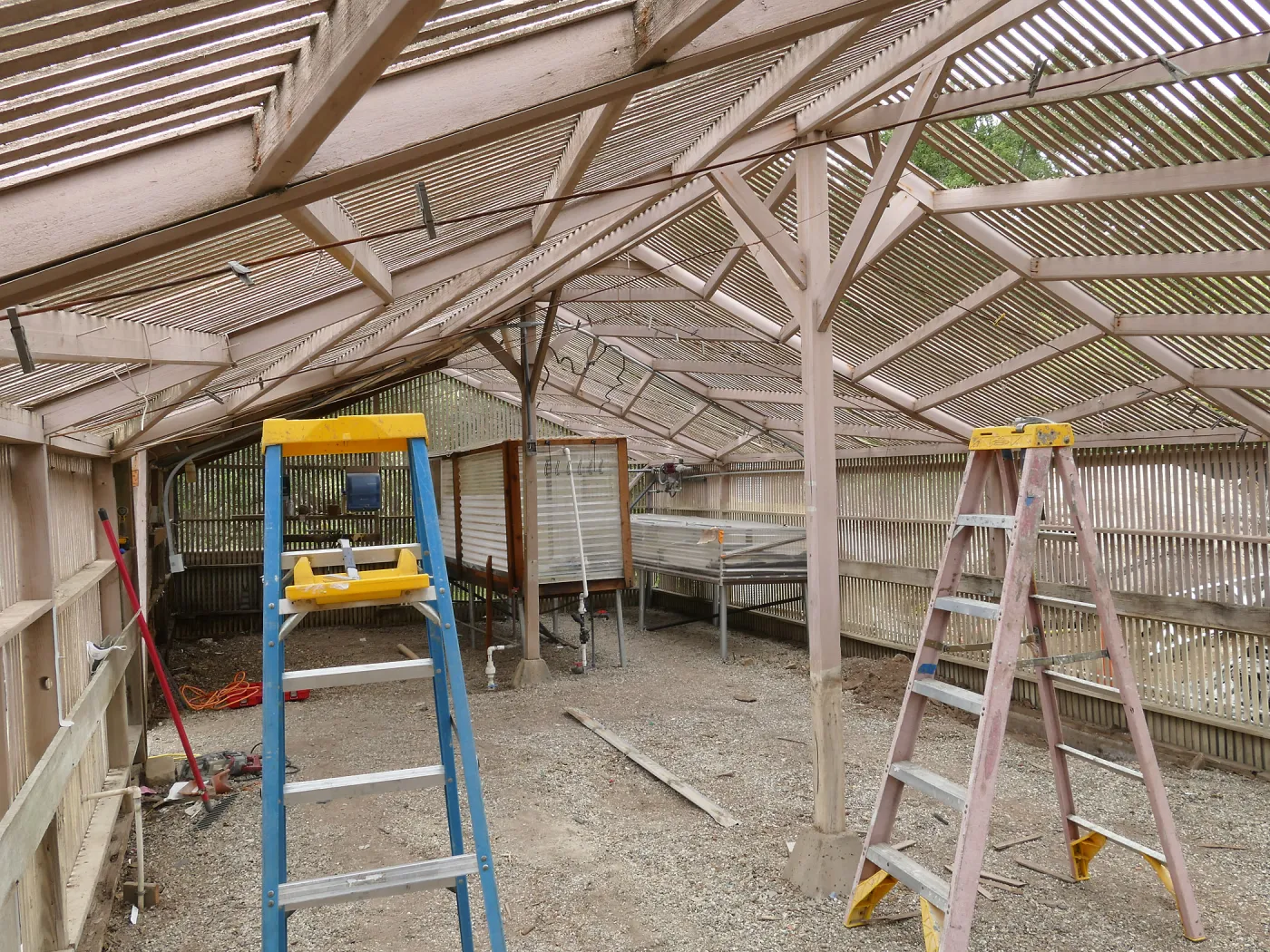 Garden Growers Lath House at start of repairs. Interior looking northwest from southeast corner.
