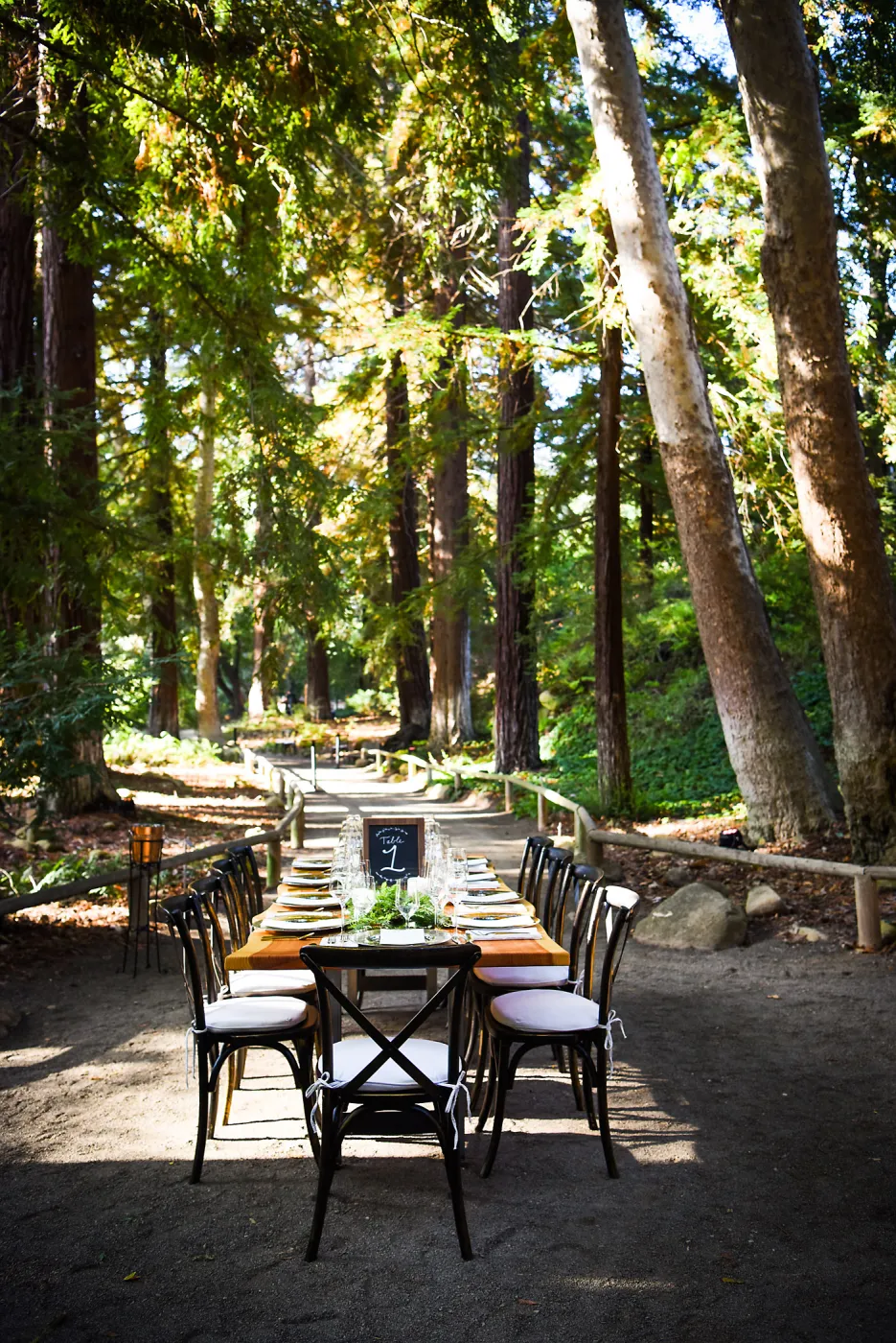 Garden to Table Dinner in the Redwoods 2017