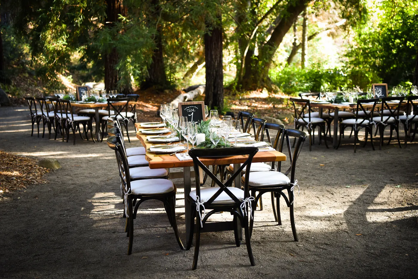 Garden to Table Dinner in the Redwoods 2017
