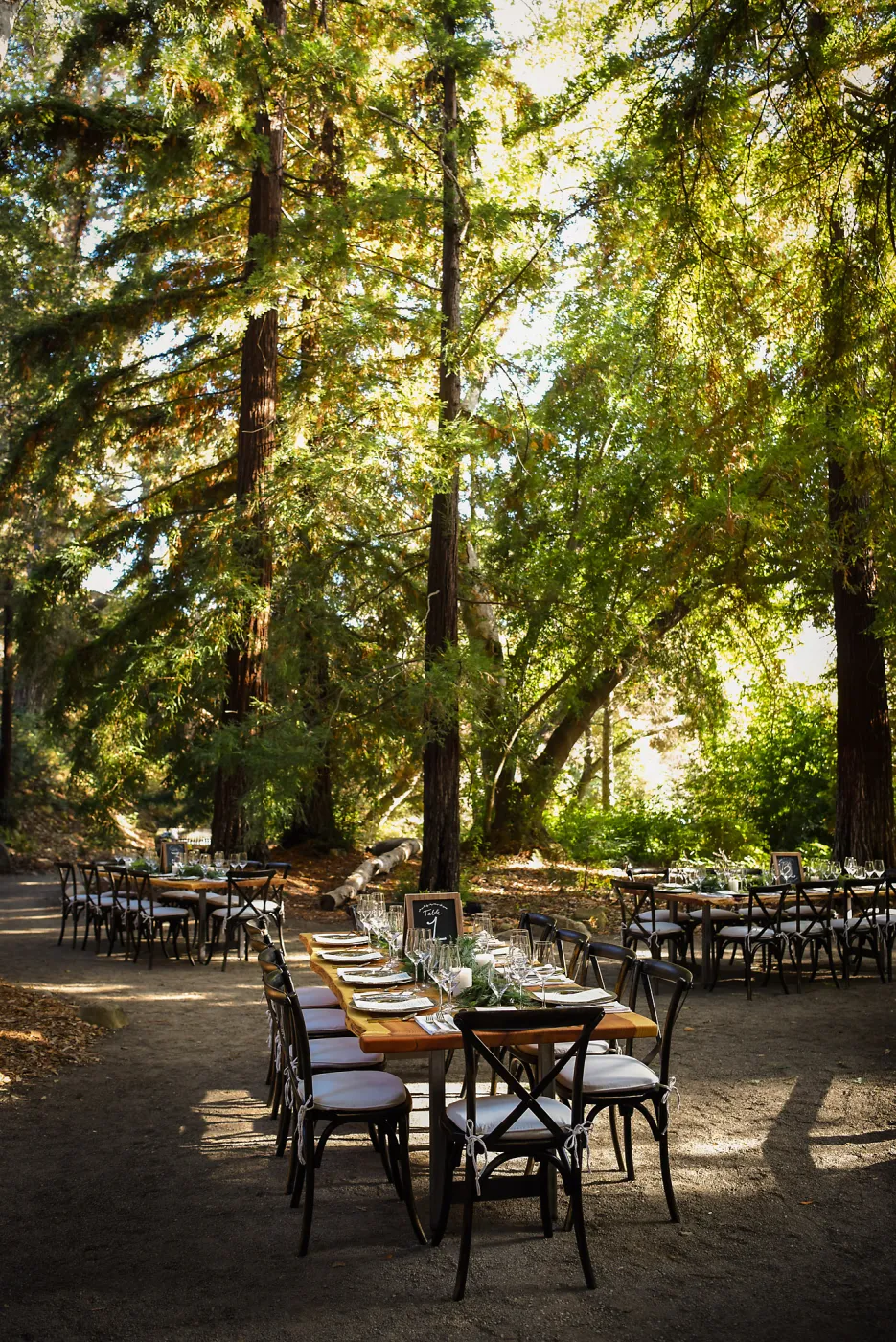 Garden to Table Dinner in the Redwoods 2017
