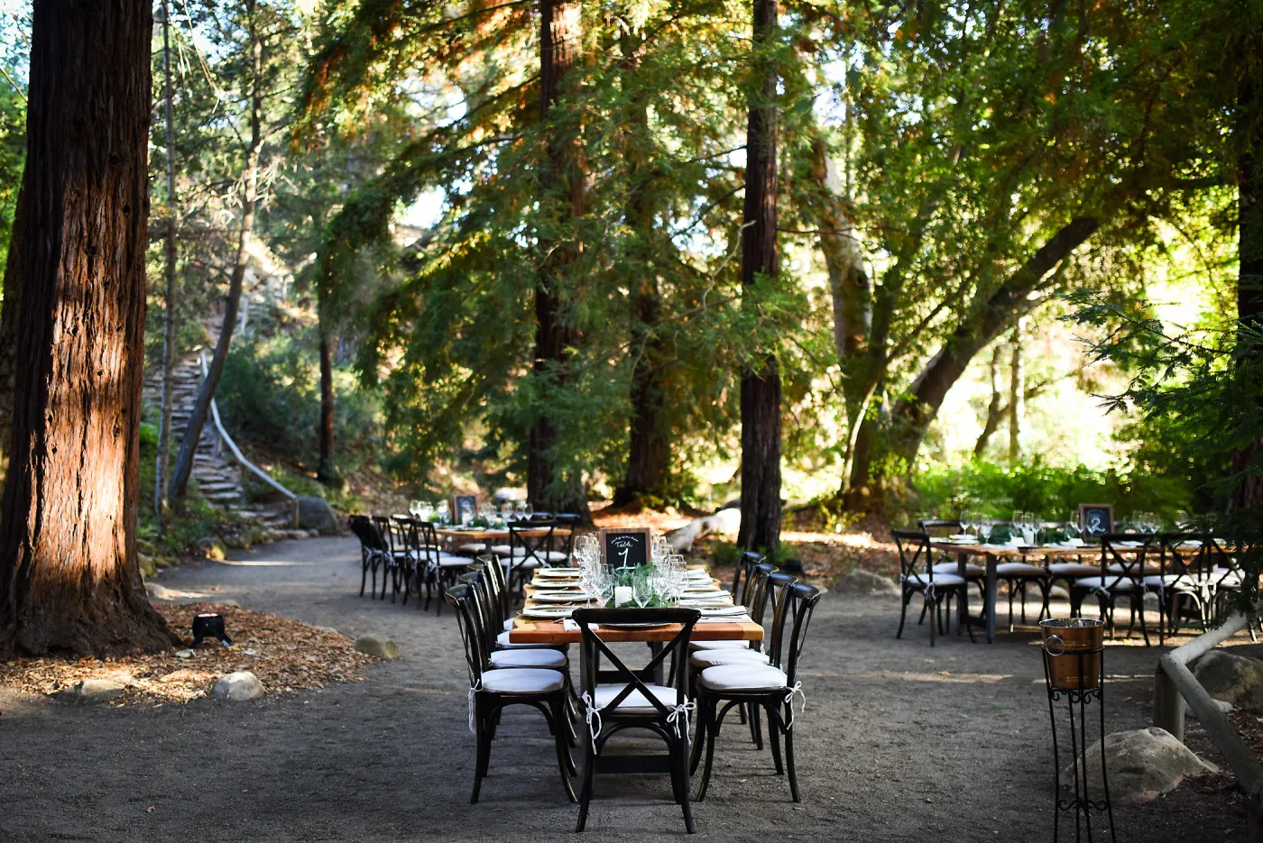 Garden to Table Dinner in the Redwoods 2017