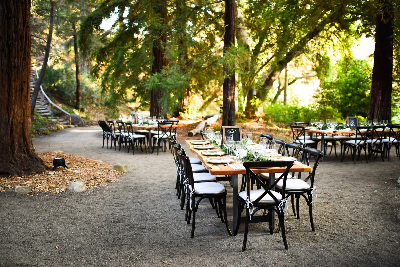 Garden to Table Dinner in the Redwoods 2017