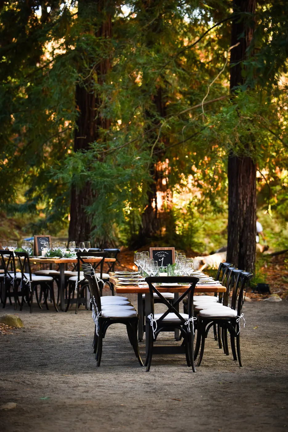 Garden to Table Dinner in the Redwoods 2017