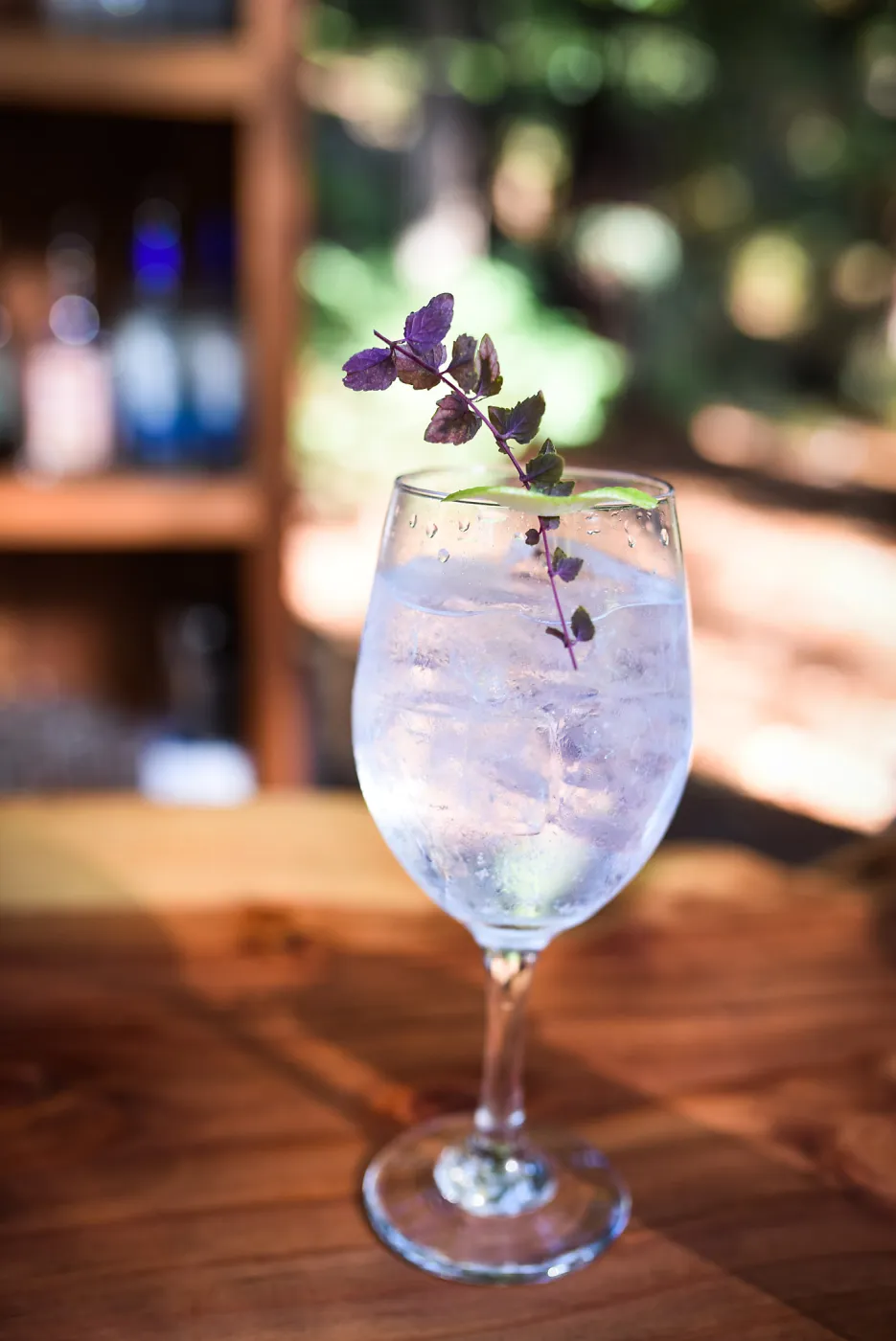 Garden to Table Dinner in the Redwoods 2017, Redwoods Gin & Tonic