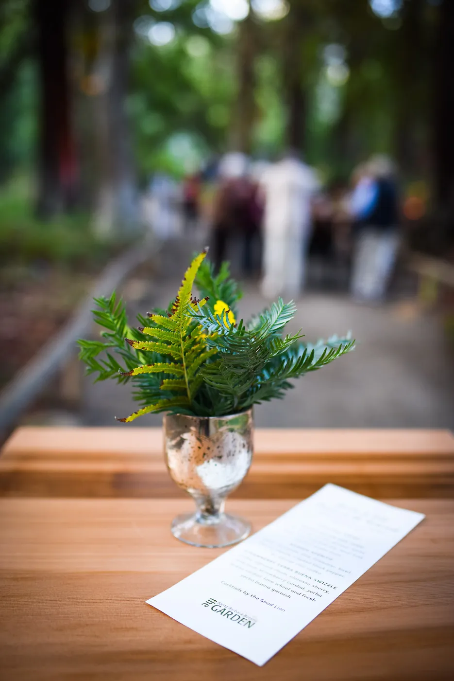 Garden to Table Dinner in the Redwoods 2017