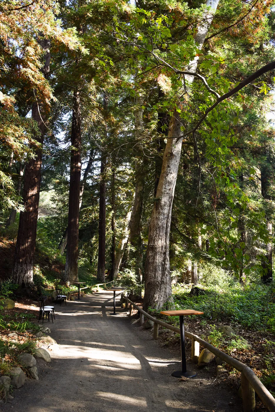 Garden to Table Dinner in the Redwoods 2017