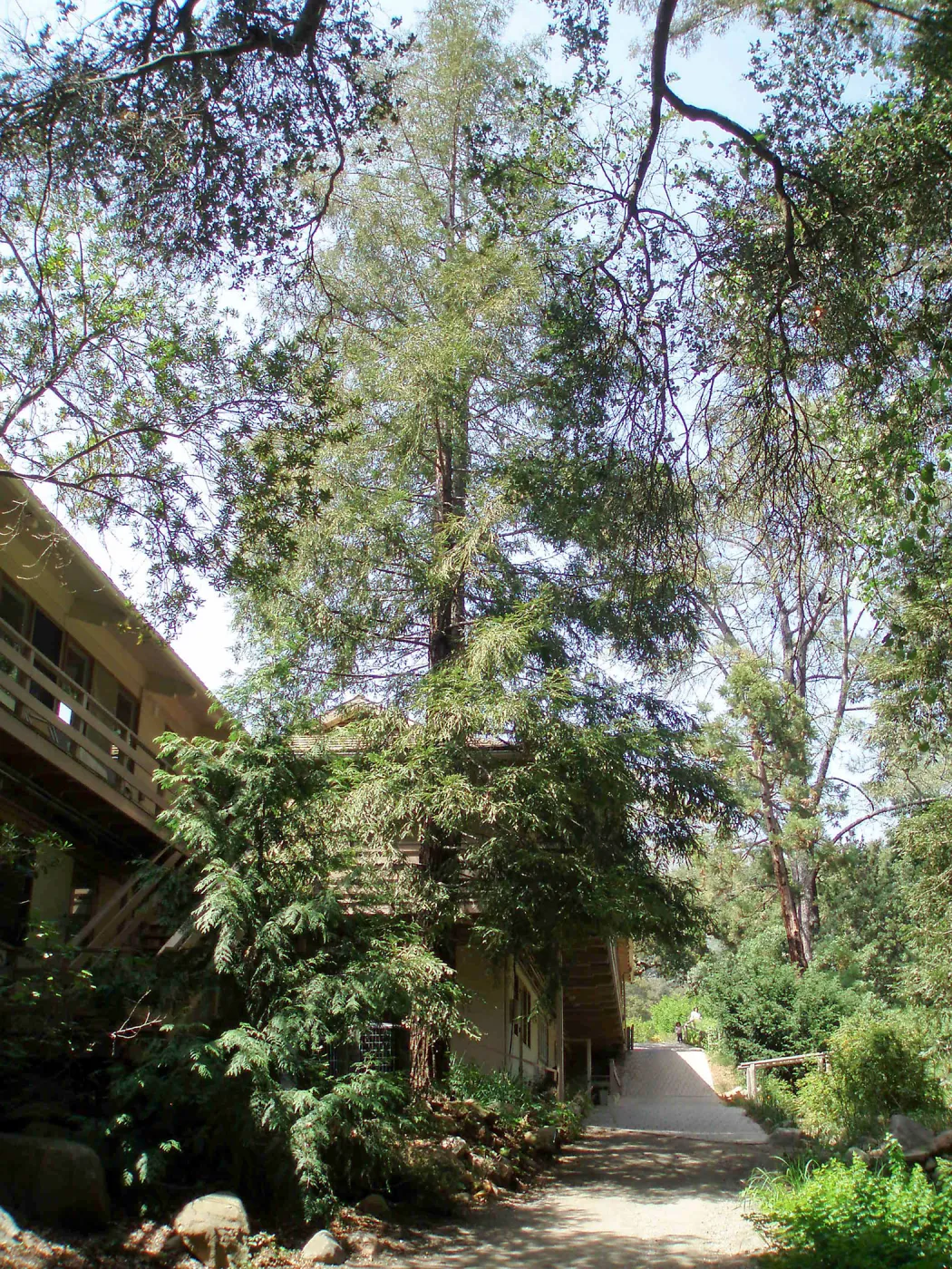 Looking from Arroyo Section to south side of North Wing