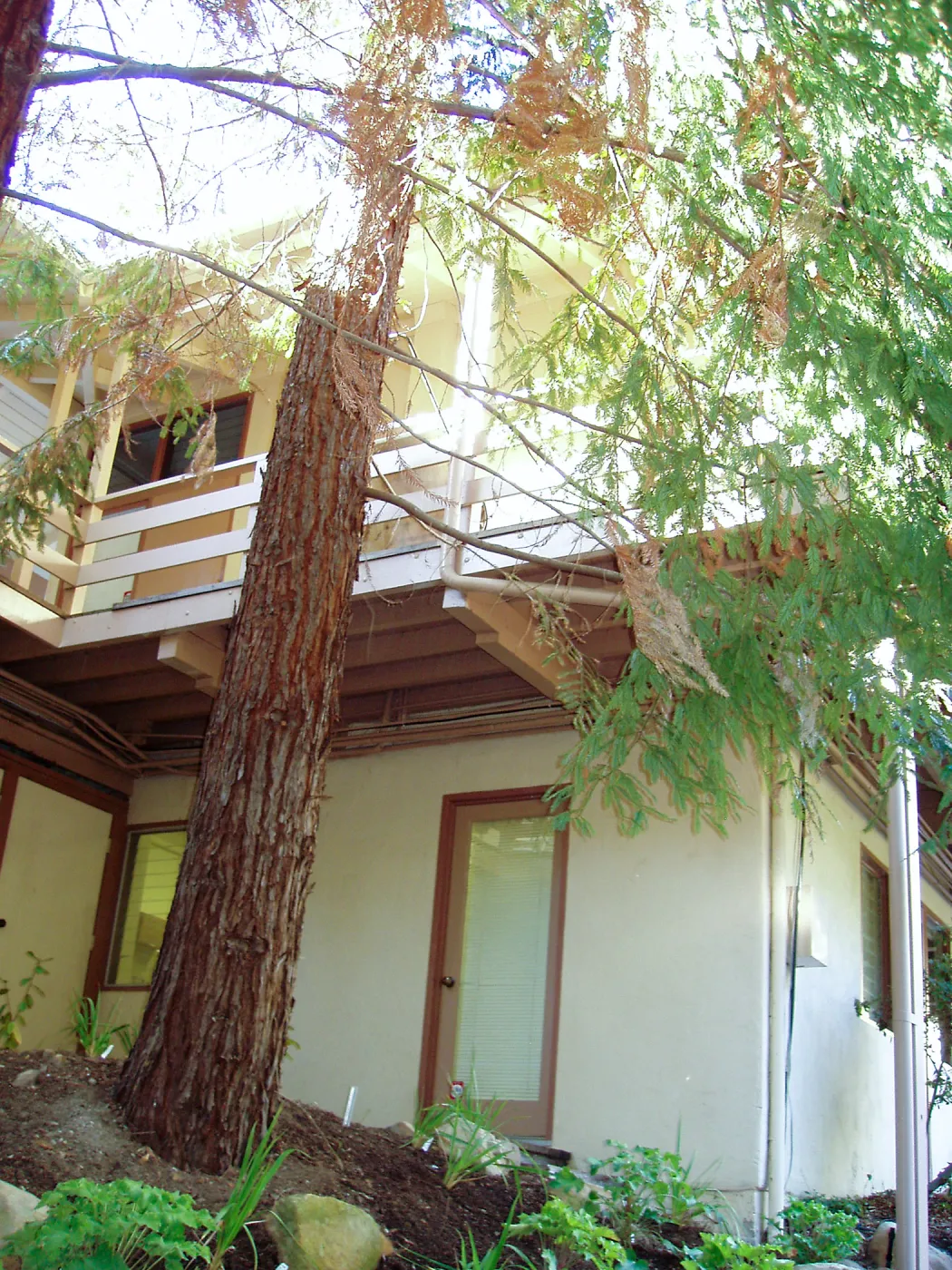 South side of North Wing