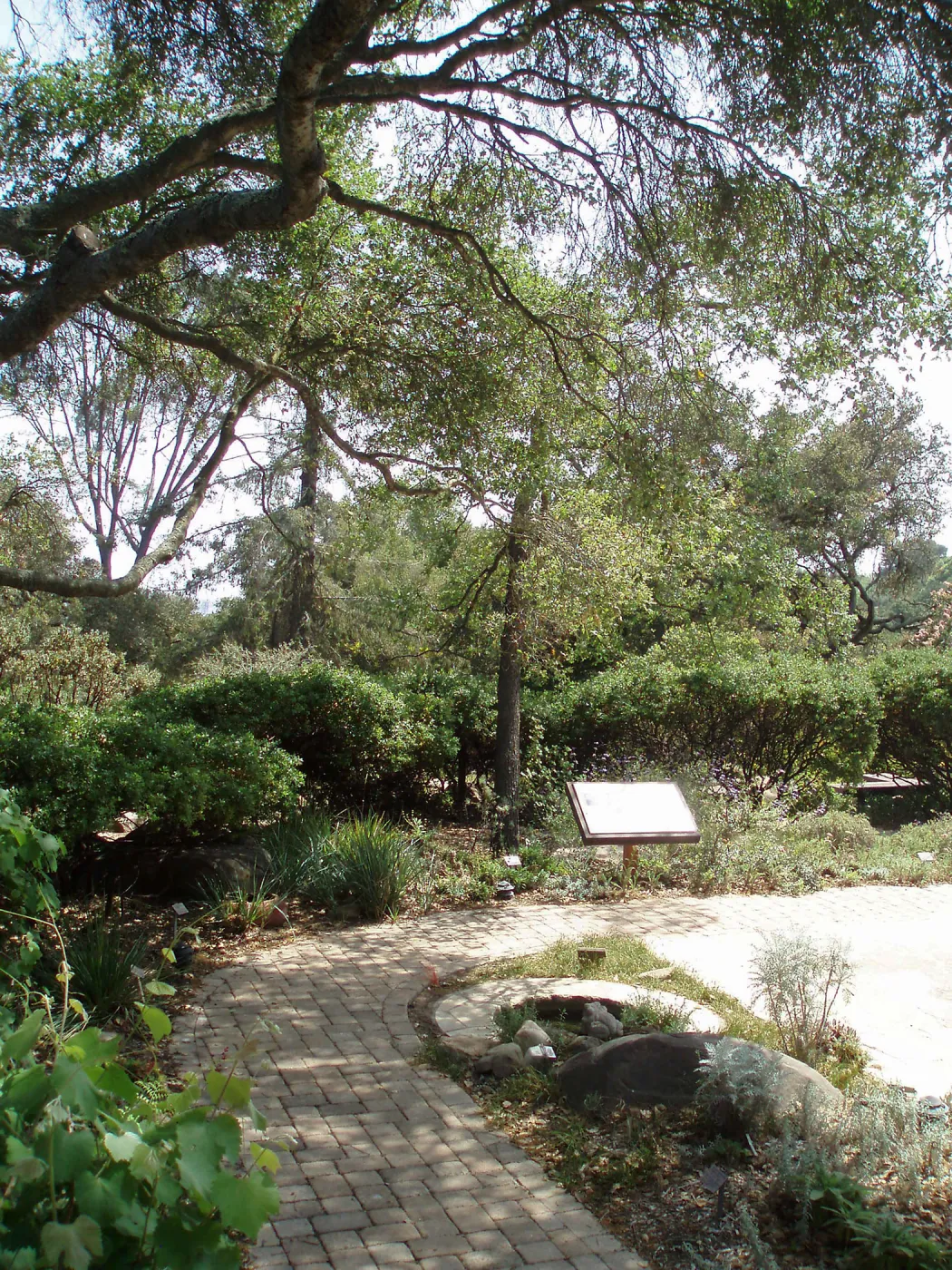 Home Demonstration Garden looking south along path on east side of Cottage