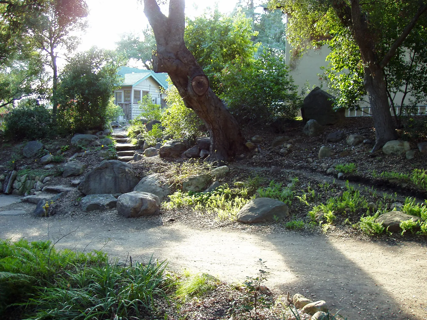 Looking west across Arroyo Section towards Cattage and Herbarium