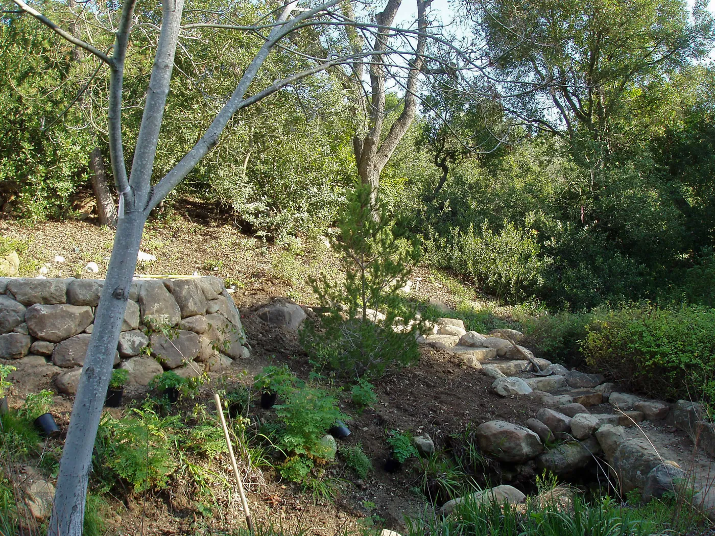 Discovery Garden construction