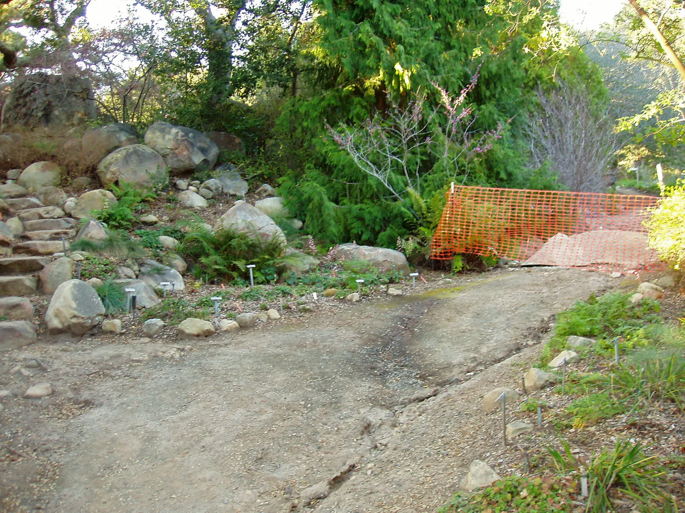 Discovery Garden construction